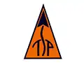 TSP rocket motors brand logo